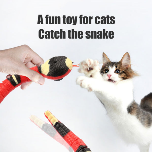 Interactive snake toy
